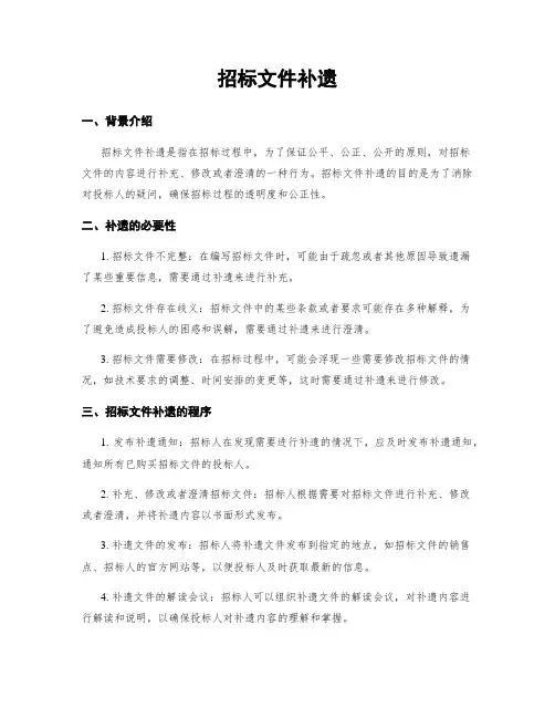 招标文件补遗
