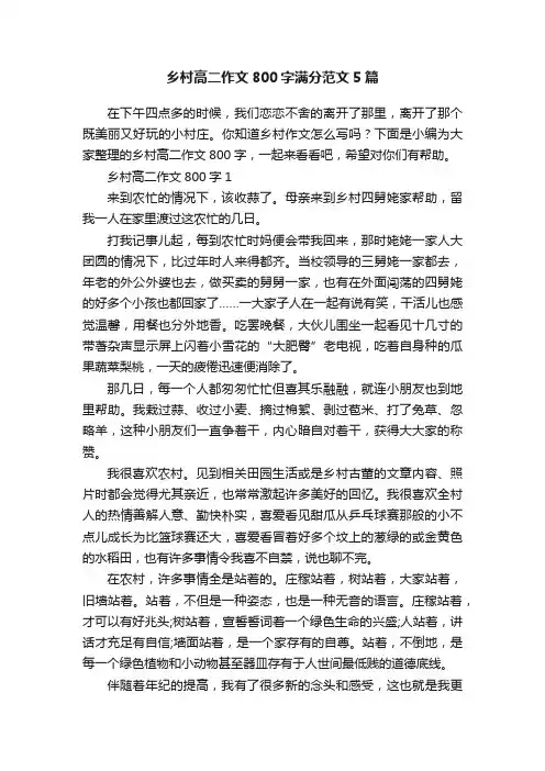 乡村高二作文800字满分范文5篇