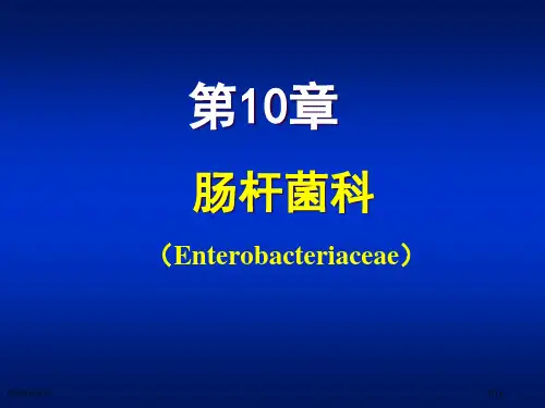 第章肠杆菌科专家讲座