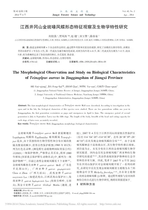 江西井冈山金斑喙凤蝶形态特征观察及生物学特性研究