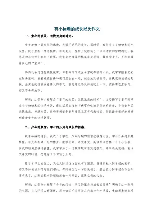 有小标题的成长经历作文