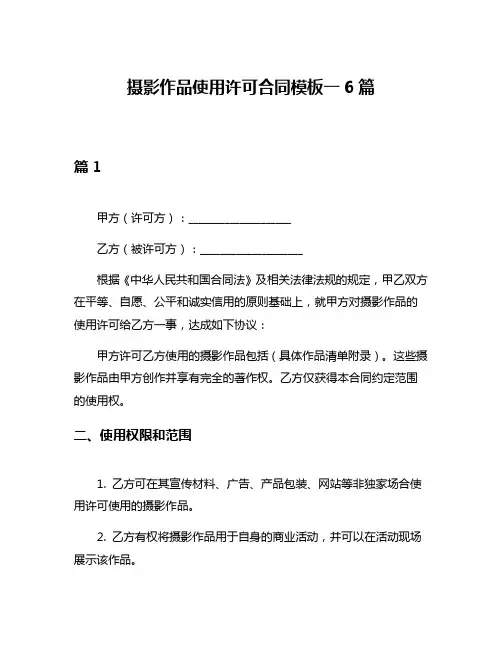 摄影作品使用许可合同模板一6篇