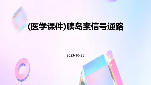 (医学课件)胰岛素信号通路