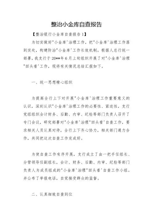 整治小金库自查报告
