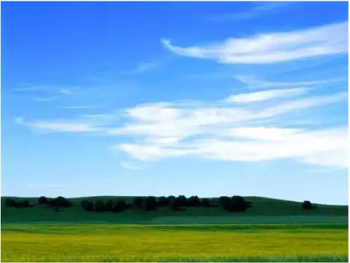 七年级语文《看云识天气》