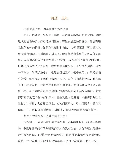 柯基一直吐