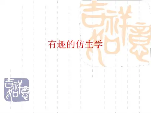有趣的仿生学