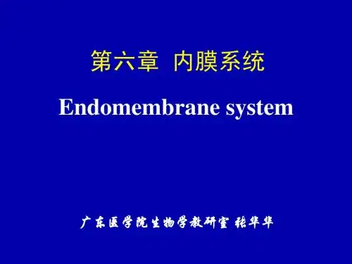 医学细胞生物学 第06章 内膜系统 1