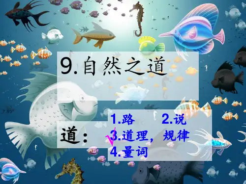 9.自然之道(超级完美版)PPT课件