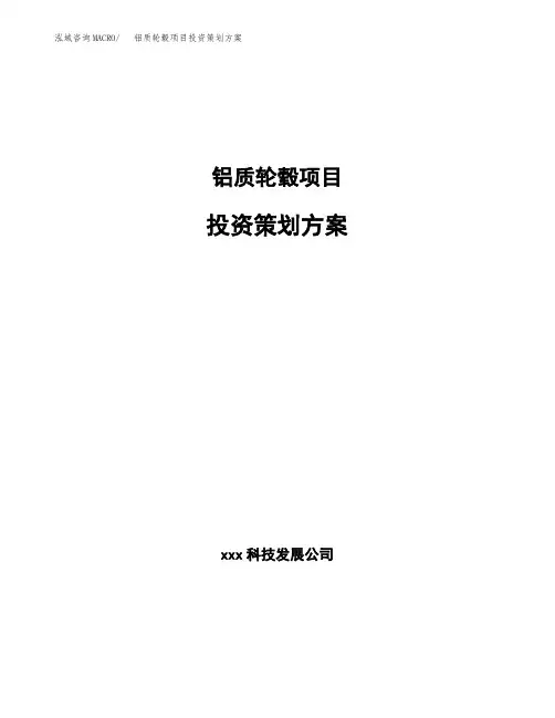 铝质轮毂项目投资策划方案范文