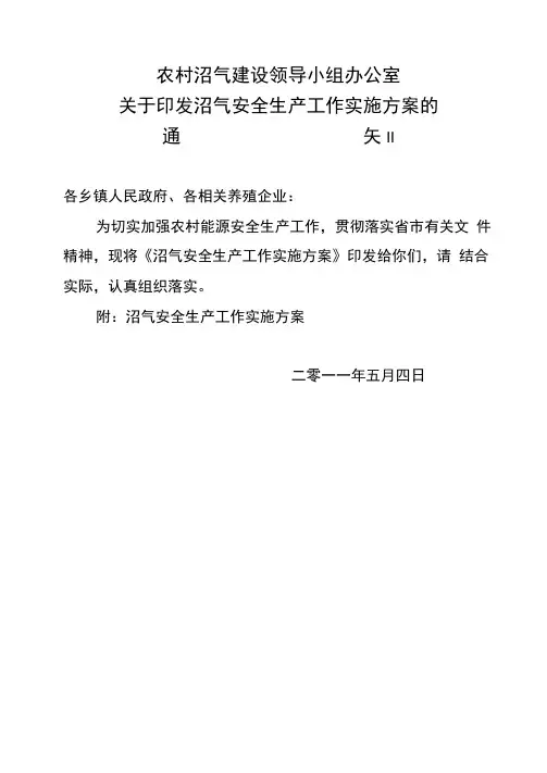 沼气安全生产工作实施方案