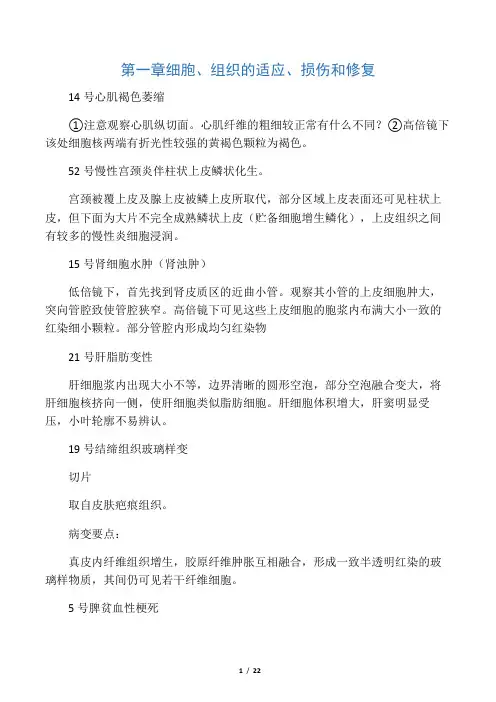 病理实验文字详解(切片)