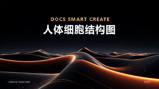人体细胞结构图