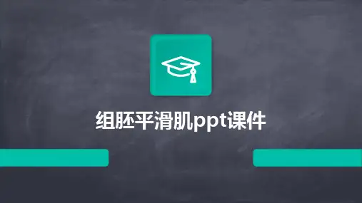 组胚平滑肌PPT课件