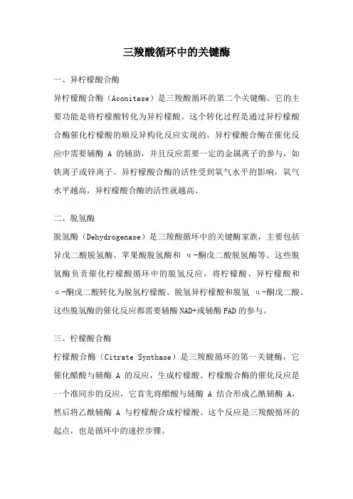 三羧酸循环中的关键酶