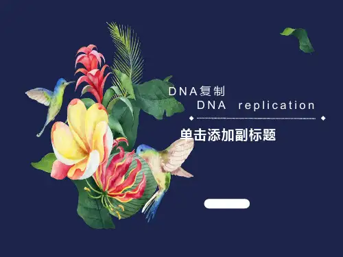 复制转录翻译