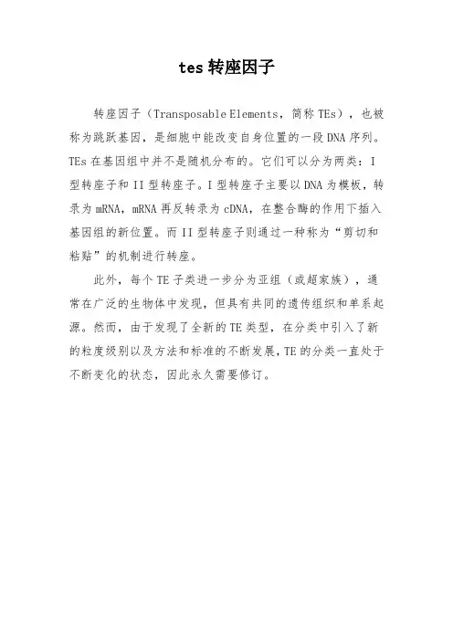 tes转座因子