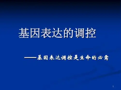 基因表达调控-1