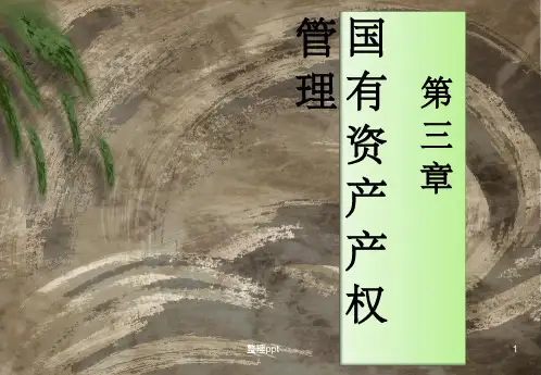 《国有资产产权管理》PPT课件