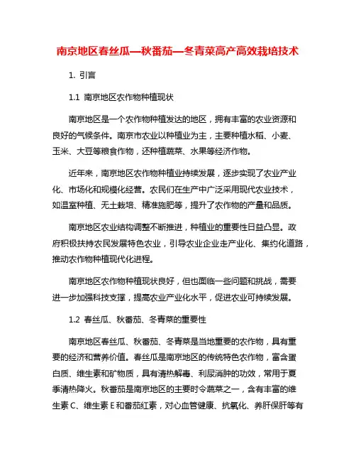 南京地区春丝瓜—秋番茄—冬青菜高产高效栽培技术