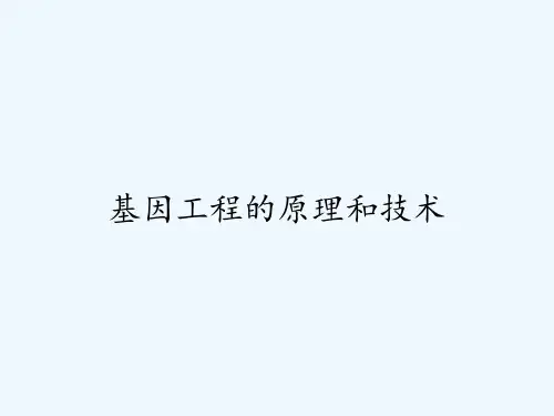 基因工程的原理和技术ppt