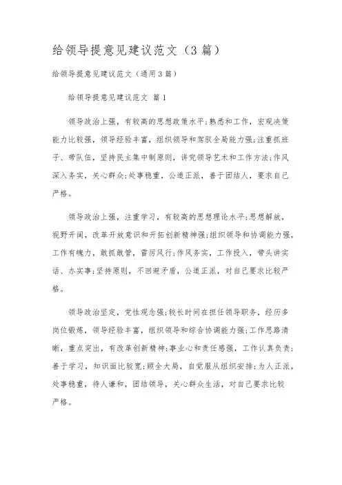 给领导提意见建议范文(3篇)