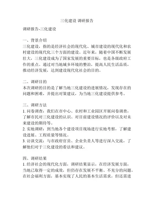 三化建设 调研报告