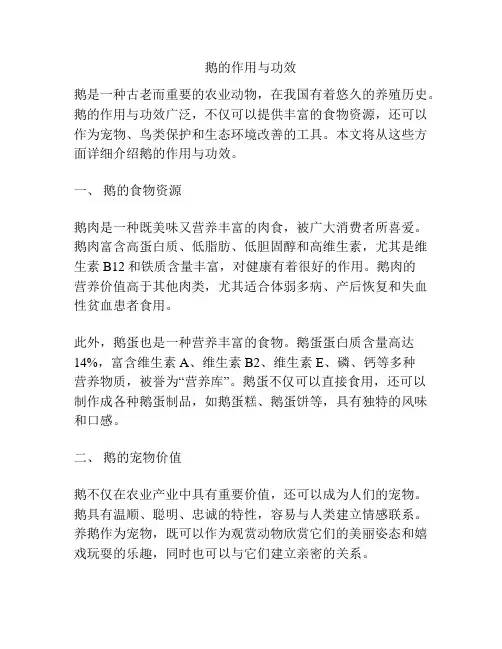 鹅的作用与功效