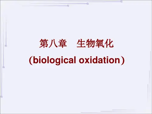 生物化学第八章 生物氧化