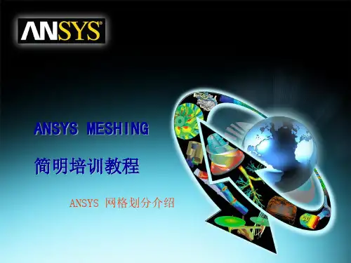 ANSYS meshing简明培训教程