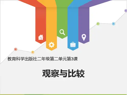 二级下册科学课件《观察与比较》 教科版