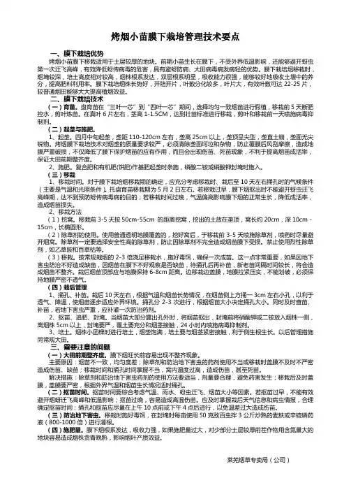 烤烟小苗膜下栽培管理技术要点