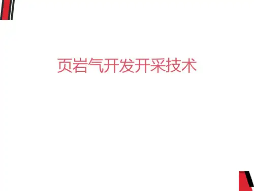 页岩气开发开采技术