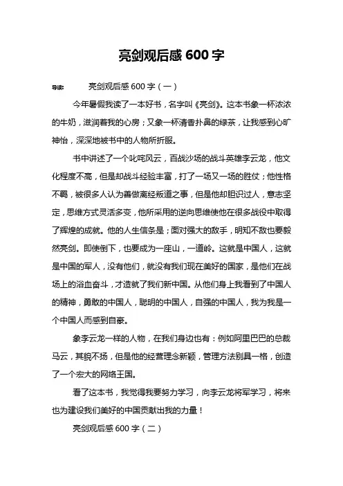 亮剑观后感600字