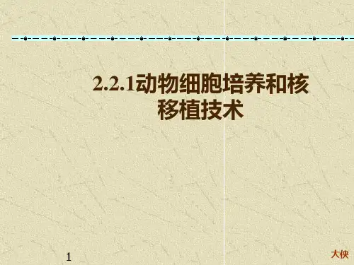 221动物细胞培养与核移植技术-文档资料