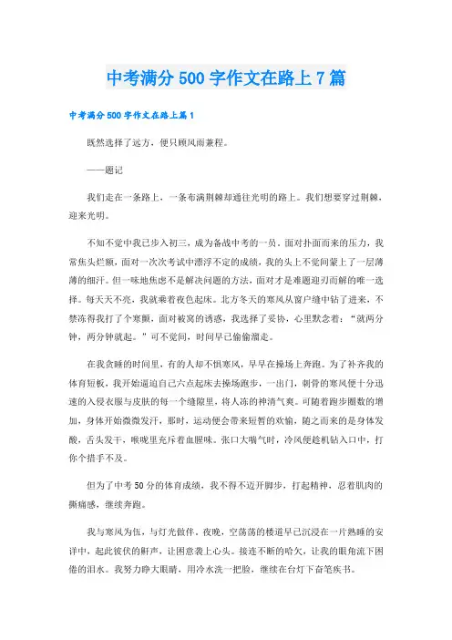 中考满分500字作文在路上7篇
