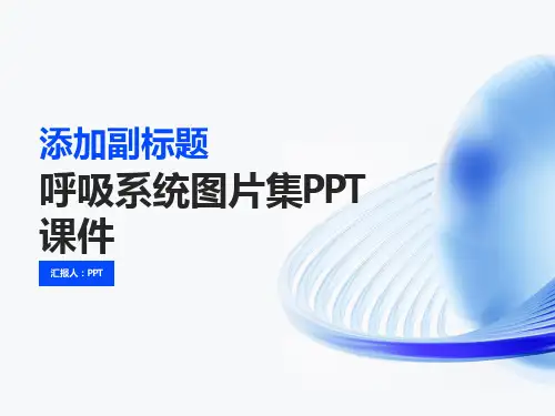 《呼吸系统图片集》课件