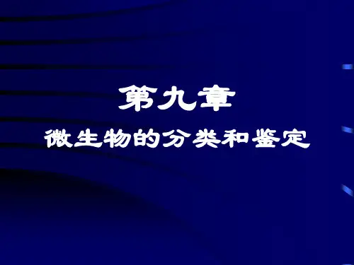 微生物分类与鉴定