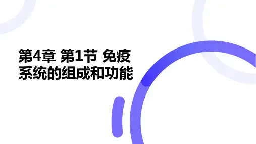 4.1 免疫系统的组成和功能 课件(24张PPT)