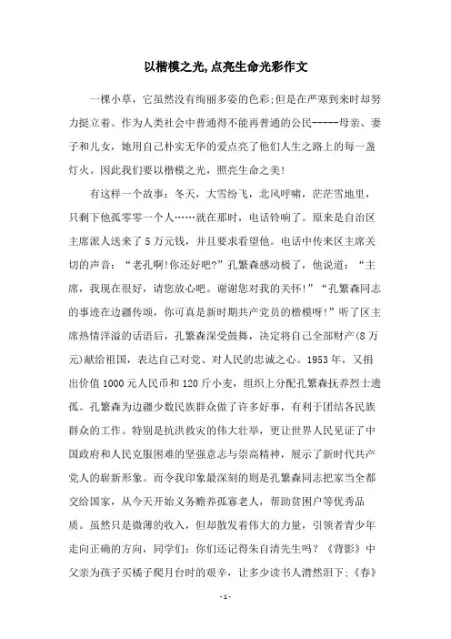 以楷模之光,点亮生命光彩作文