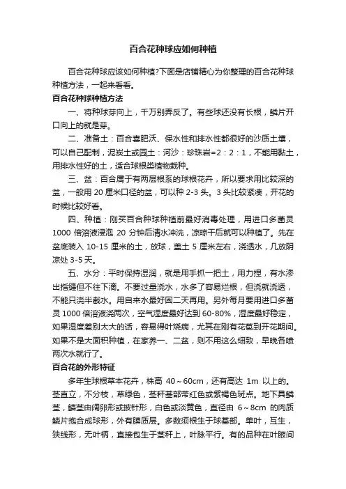 百合花种球应如何种植