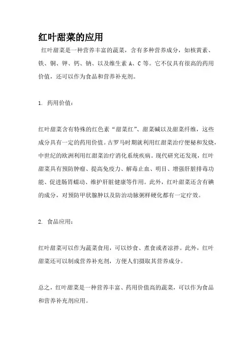 红叶甜菜的应用