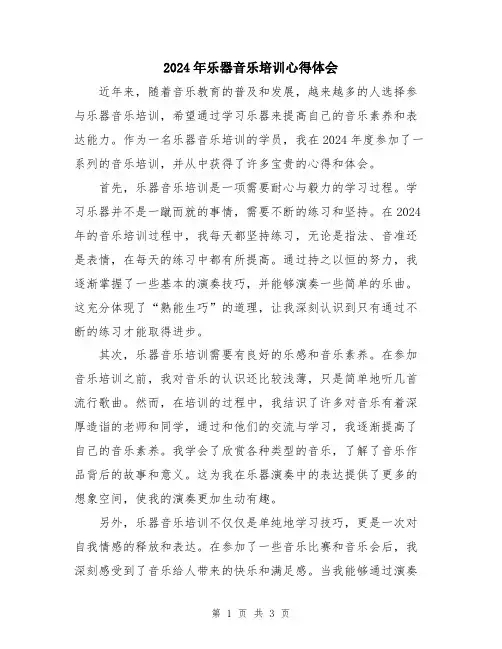 2024年乐器音乐培训心得体会