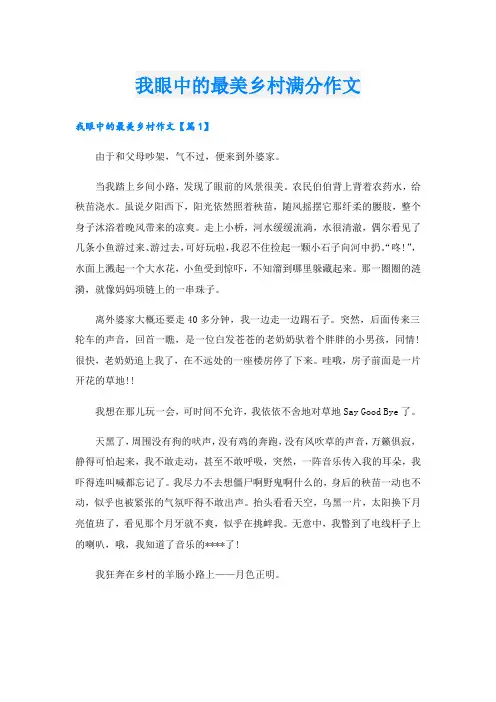 我眼中的最美乡村满分作文