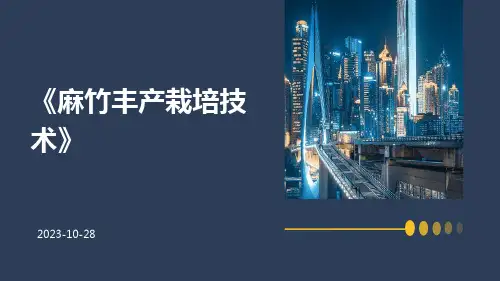 麻竹丰产栽培技术