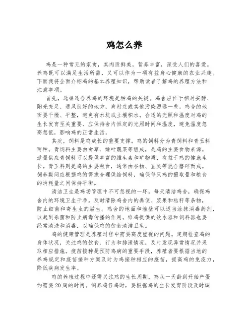 鸡怎么养 