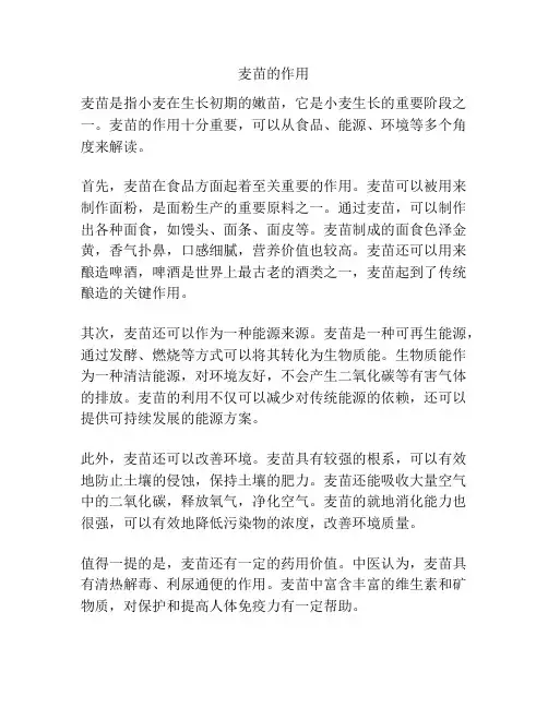 麦苗的作用