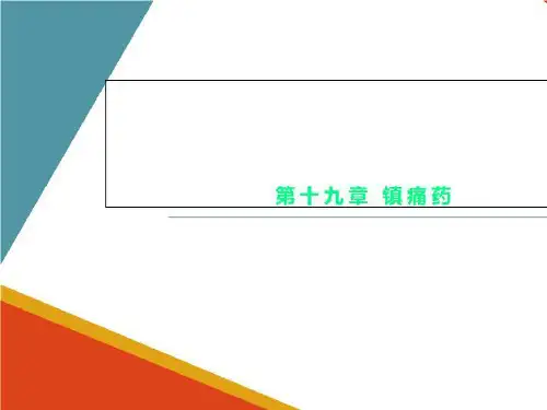 第十九章 镇痛药
