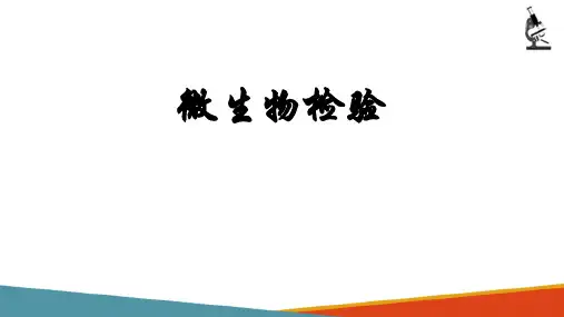 标本的采集与处理—尿液标本的采集(微生物检验课件)