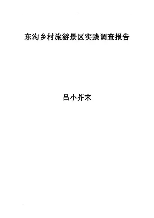 东沟乡村旅游景区实践调查报告